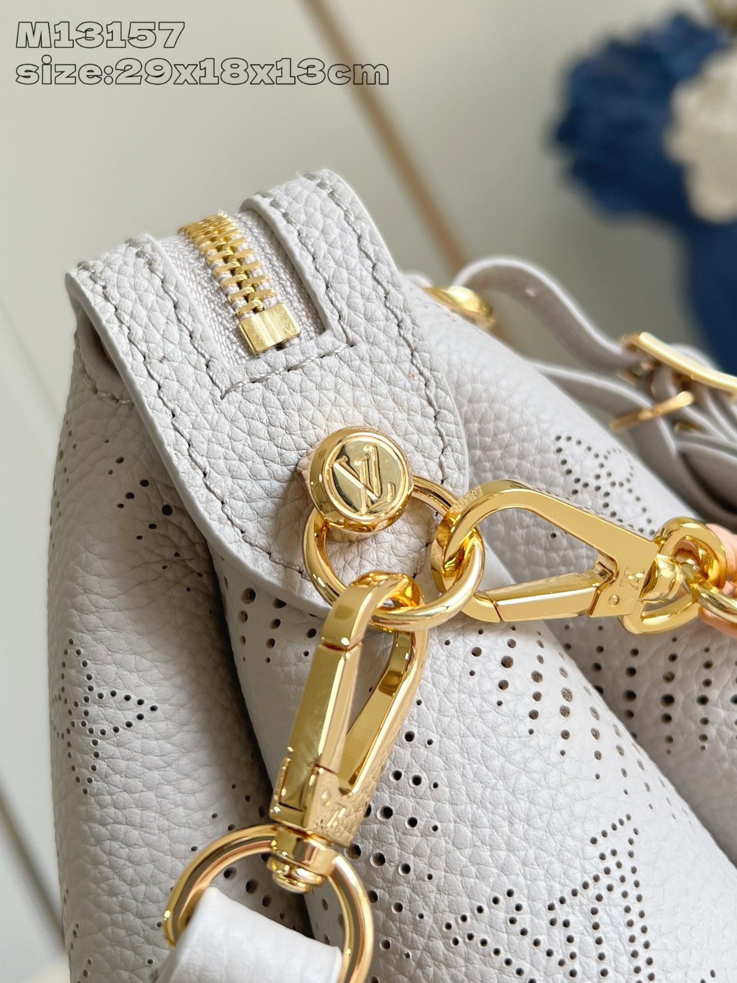 Crossbody or shoulder bag